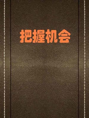 cover image of 把握机会( Seize the Opportunity)